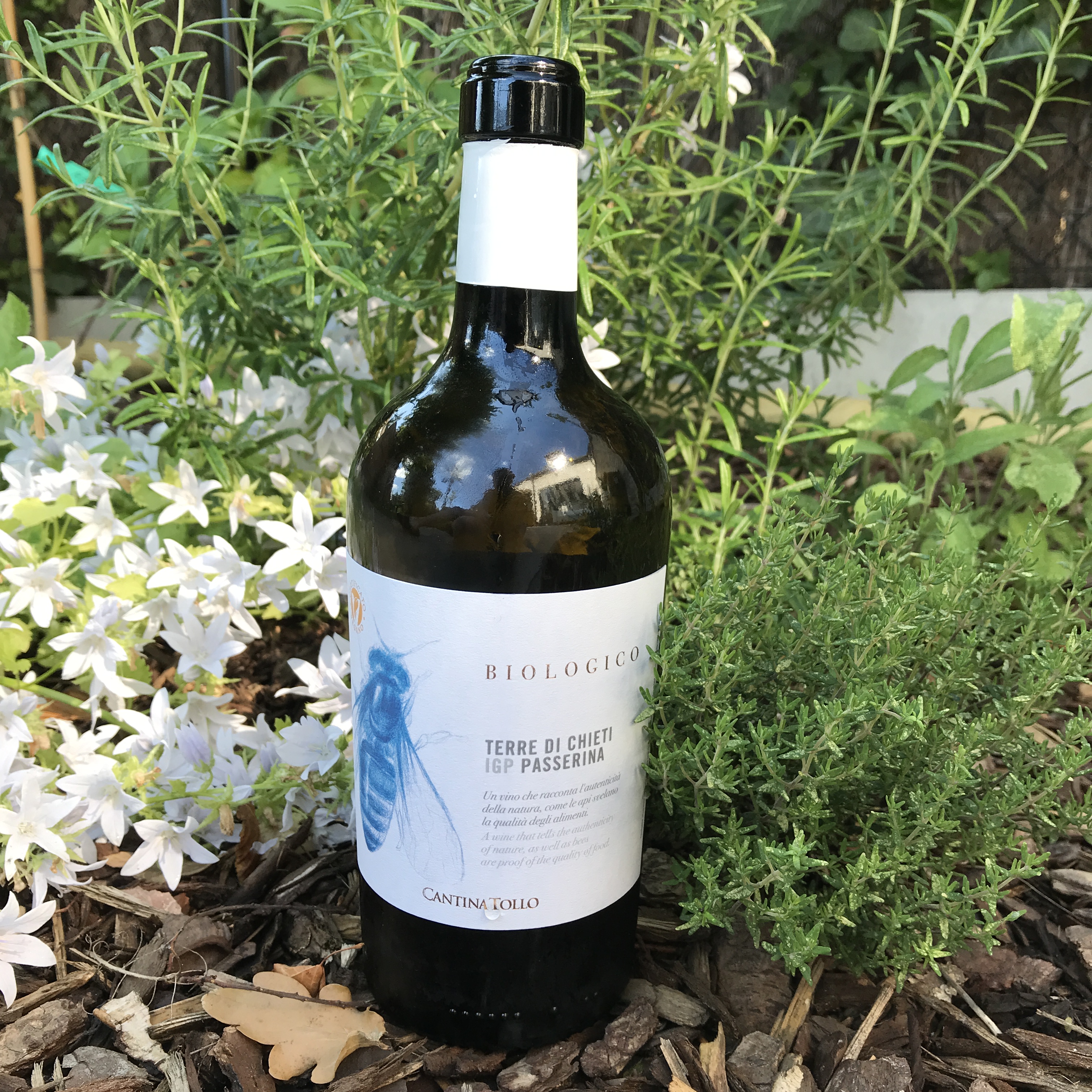 North Shore Boston | Kim Smith Films | Page 5, image size:3024x3024